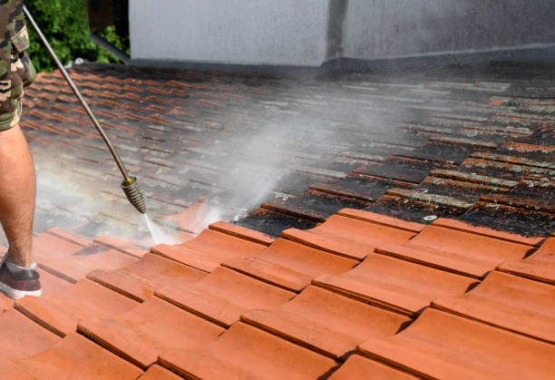 Best Residential Pressure Washing Services  in Elsmere, DE