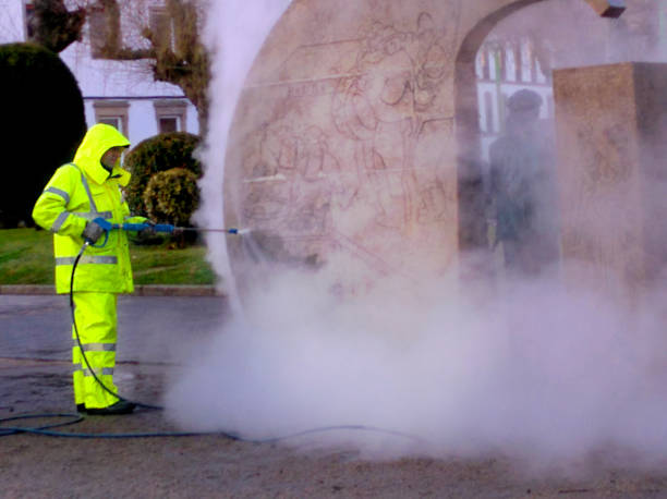 Best Concrete Pressure Washing  in Elsmere, DE